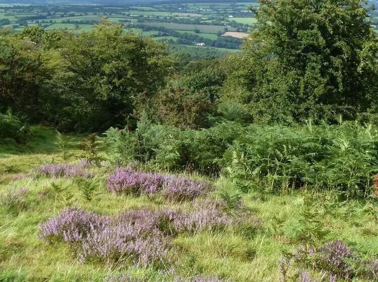 Hostal Yurt Luxury & Bathouse