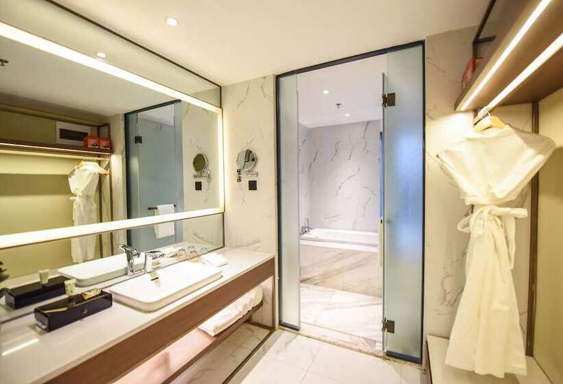 酒店 Auraya By Suning Nanjing Xuzhuang