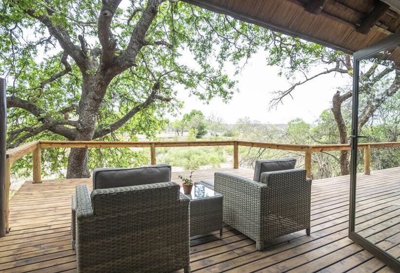 בית מלון כפרי Elephant Plains Game Lodge