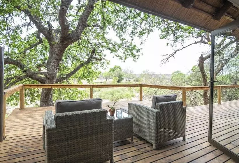 ホテル Elephant Plains Game Lodge