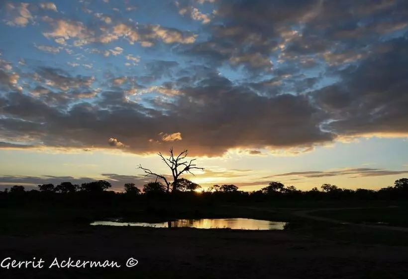 ホテル Elephant Plains Game Lodge