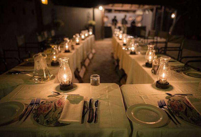 בית מלון כפרי Elephant Plains Game Lodge