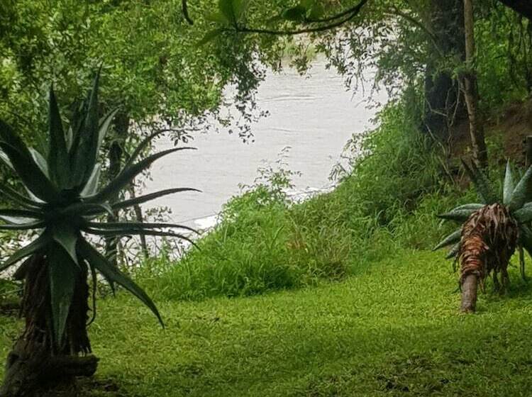 בית מלון כפרי Elephant Plains Game Lodge