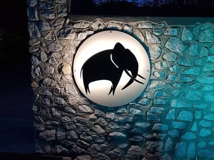 ホテル Elephant Plains Game Lodge