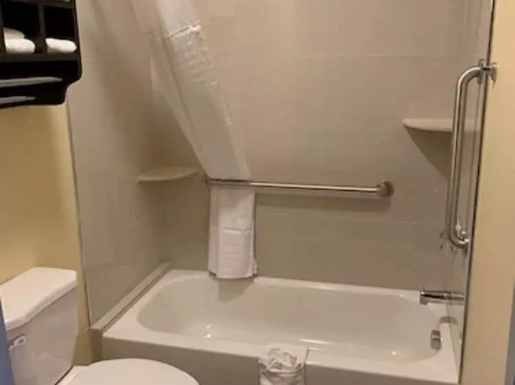 ホテル Homestay Inn & Suites Edinburg
