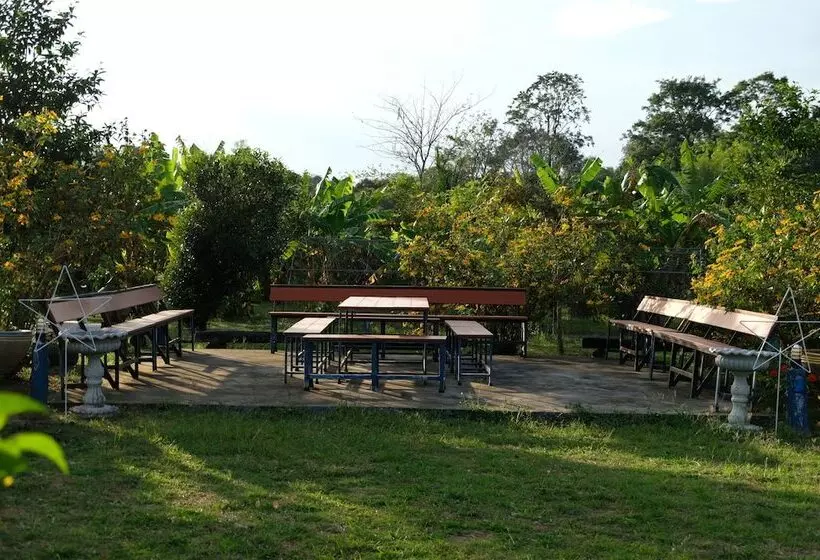 ホテル Nadedow Resort