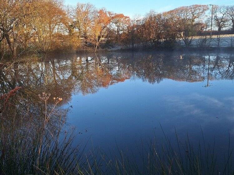 Отель Thornbury Holiday Park