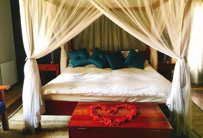 هتل Wild Geese Lodge