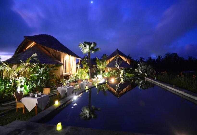 مبيت وإفطار Padi Bali Retreat