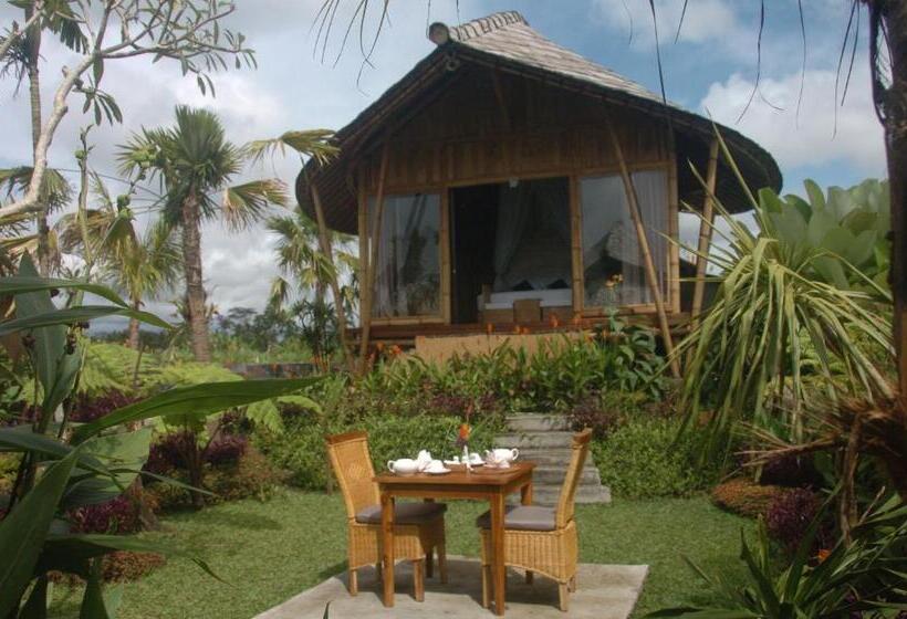 مبيت وإفطار Padi Bali Retreat