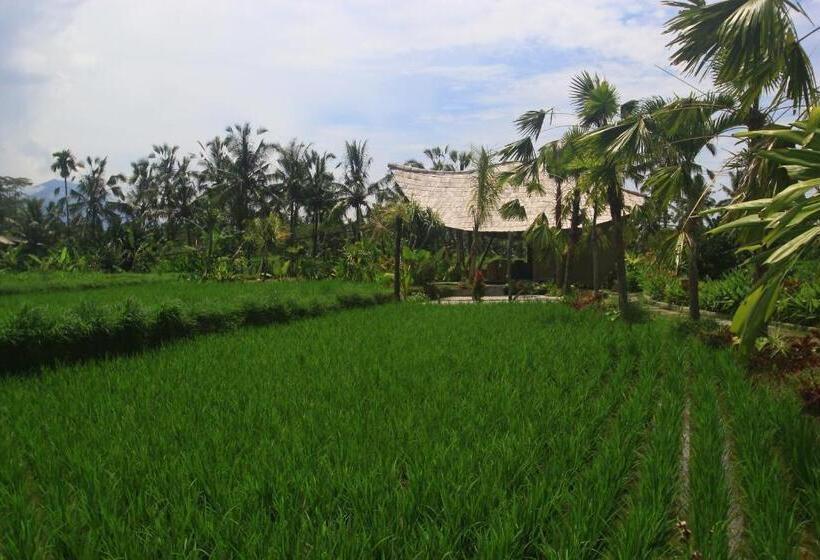 مبيت وإفطار Padi Bali Retreat