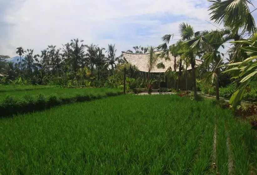 Aamiaismajoitus (B&B) Padi Bali Retreat