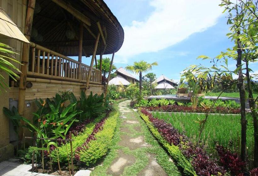 مبيت وإفطار Padi Bali Retreat
