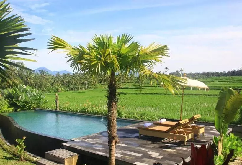 Aamiaismajoitus (B&B) Padi Bali Retreat