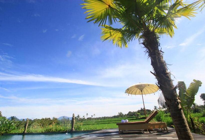 مبيت وإفطار Padi Bali Retreat