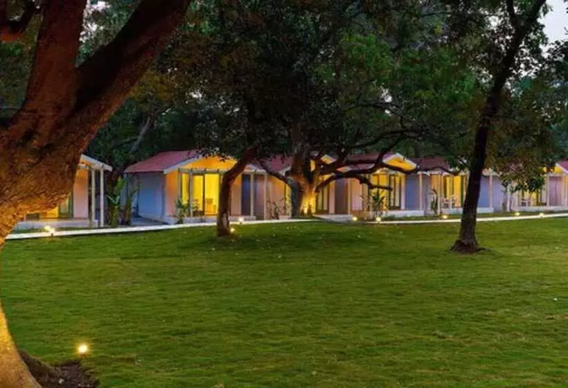 Hotel Blu Resorts