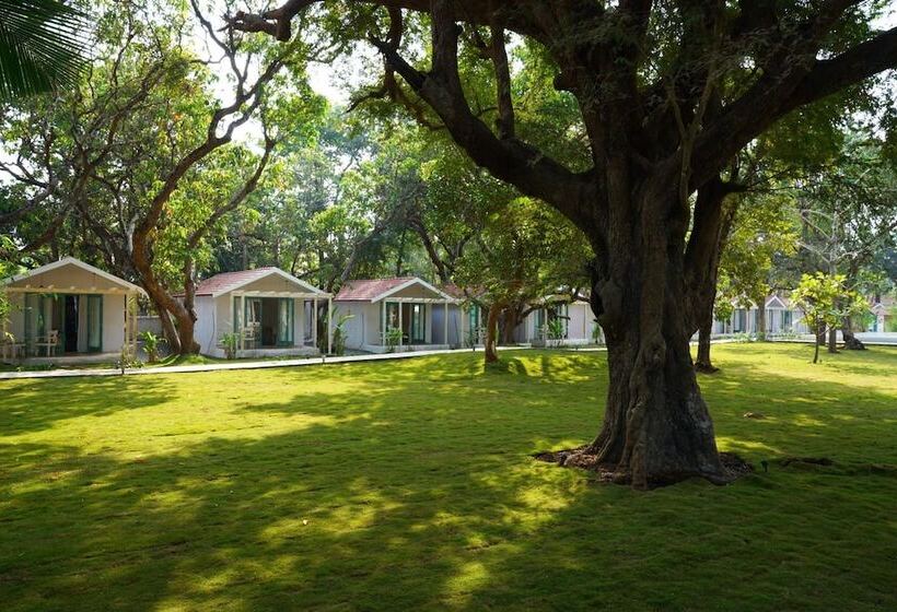 Отель Blu Resorts