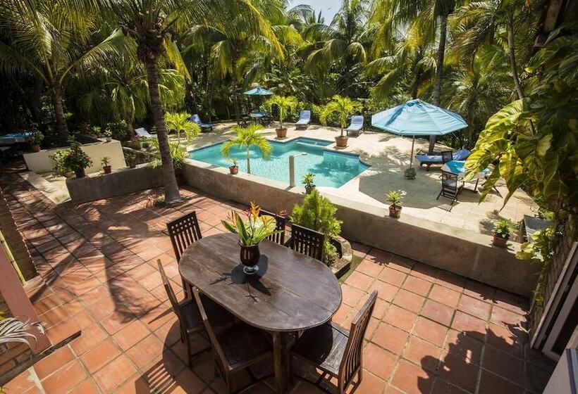 هتل Cielo Vista Boutique