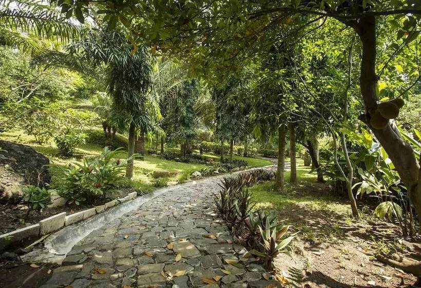 هتل Cielo Vista Boutique