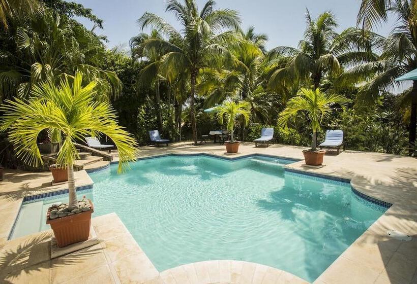 هتل Cielo Vista Boutique