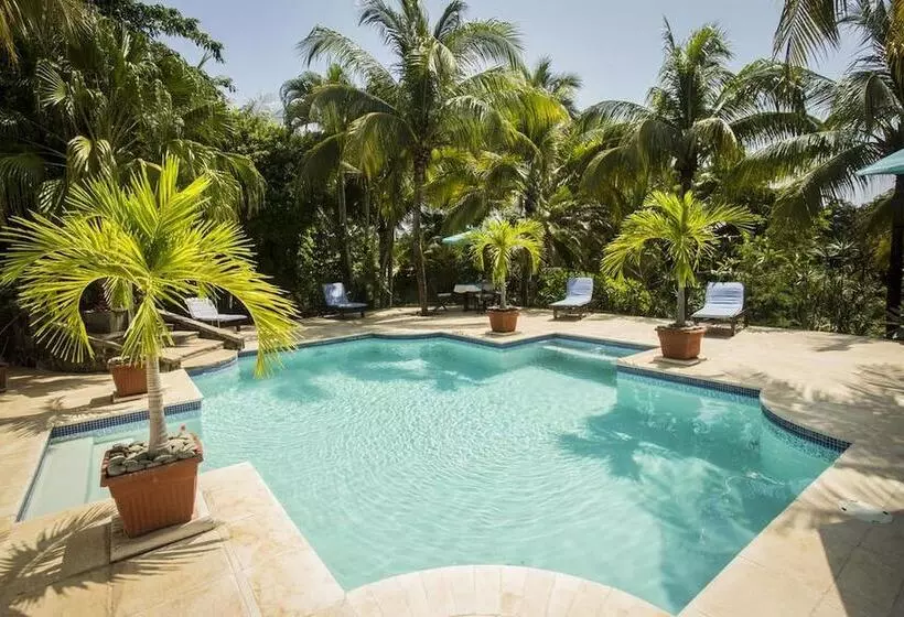 هتل Cielo Vista Boutique