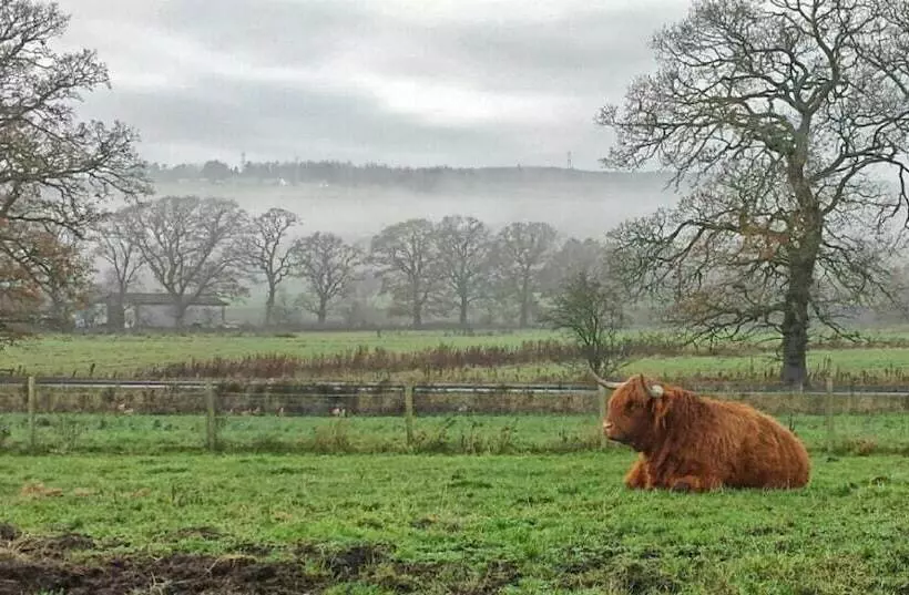 Hotelli Hillview Park