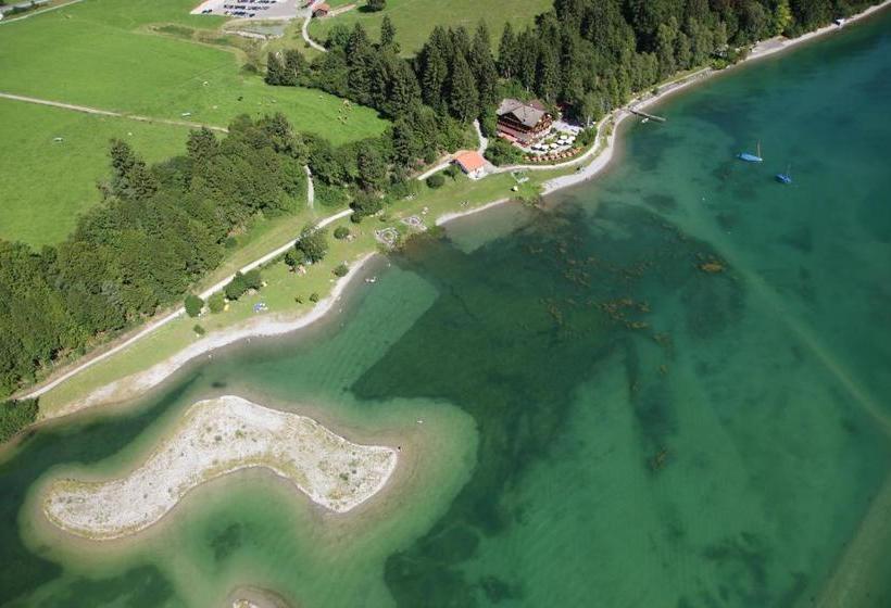 בית מלון כפרי Cafe Maria Pension B&b