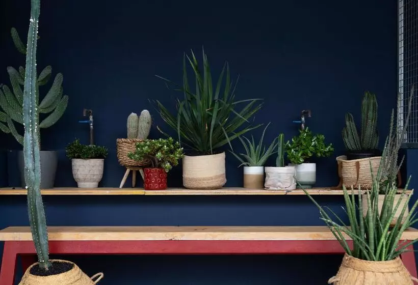 Buendia Corralejo Nohotel