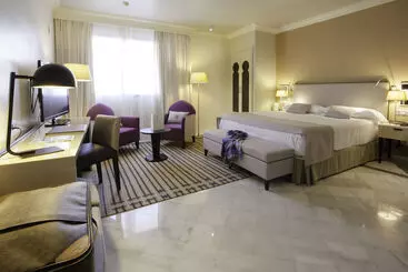 Hotel Vincci Albayzin