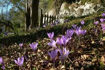 호텔 Posada Del Valle