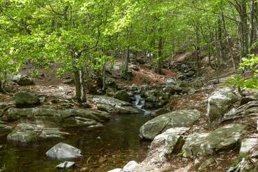 Отель Hostal L Avet Blau