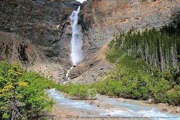 Resort Banff Park Lodge