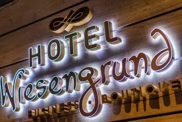 Отель Wiesengrund Business & Boutique
