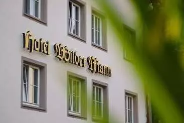 Отель Wilder Mann