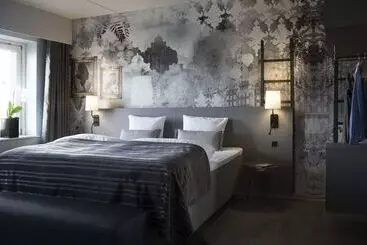 בית מלון כפרי Scandic Regina