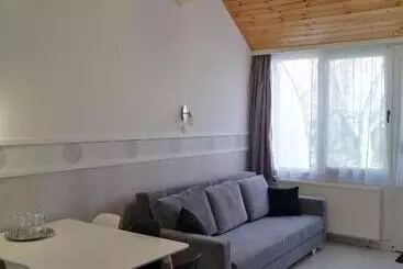 Отель Hőforrás