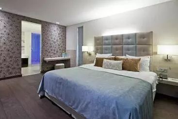 汽车旅馆  Van Der Valk Hotel Heerlen