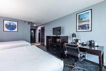 Best Western Rochester Hotel Mayo Clinic Area/ St. Mary S