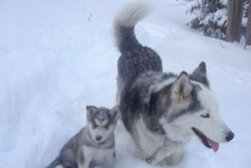 Cortina Inn & Resort