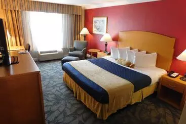 ホテル Best Western Plus Anaheim Orange County