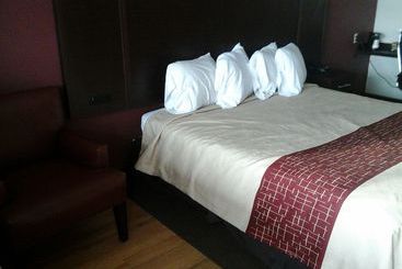 בית מלון כפרי Red Carpet Inn South Holland