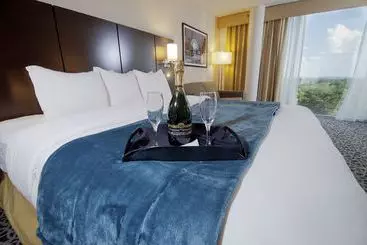 ホテル Radisson  Atlantamarietta