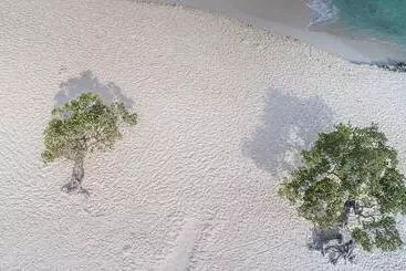 Amsterdam Manor Beach Resort