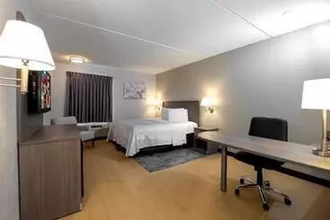 酒店 Red Roof Inn Plus Boston Mansfield Foxboro