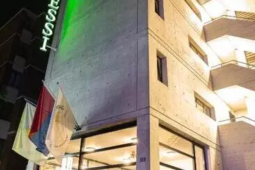 هتل Nessi Locarno