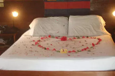 منتجع Green Parrot Belize