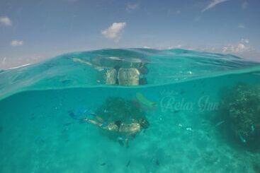 펜션 Rasdhoo Relax Inn