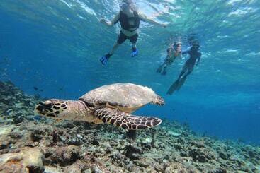 هتل Acqua Blu Rasdhoo