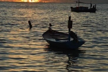 هتل Guraidhoo Palm Inn