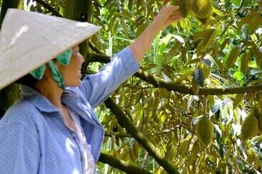 هتل The Durian Lodge At Mekong